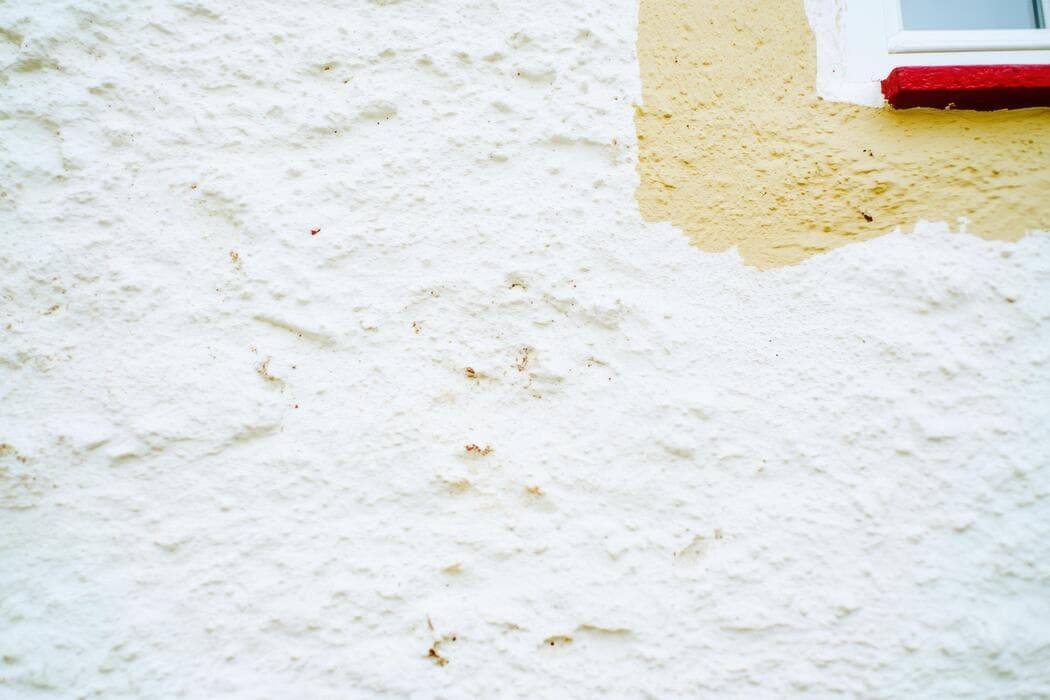 Anti-Mould & Moisture Wall Treatment